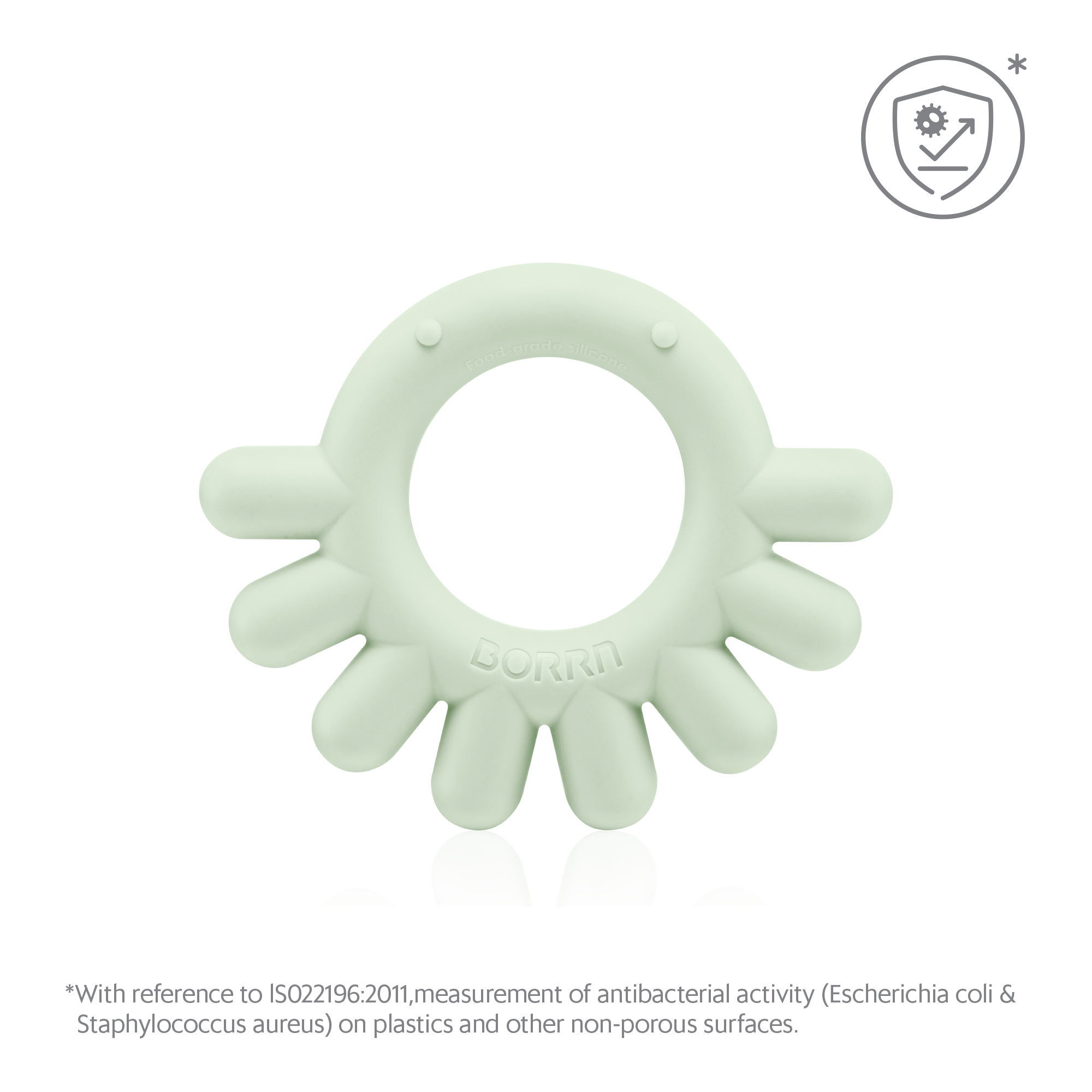 BORRN 動物牙膠-八爪魚