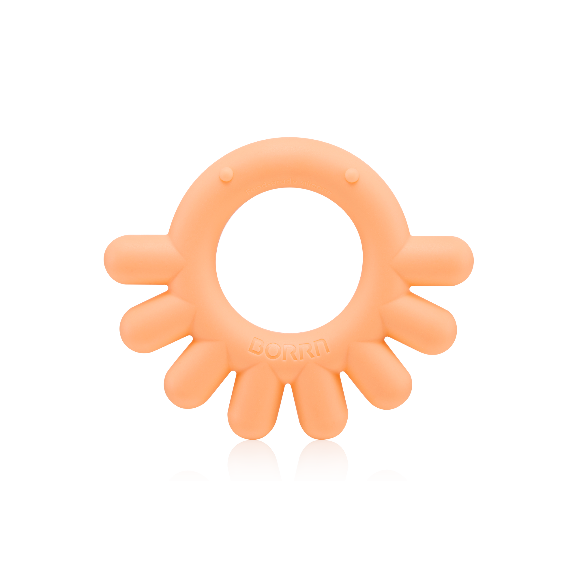 BORRN 動物牙膠-八爪魚