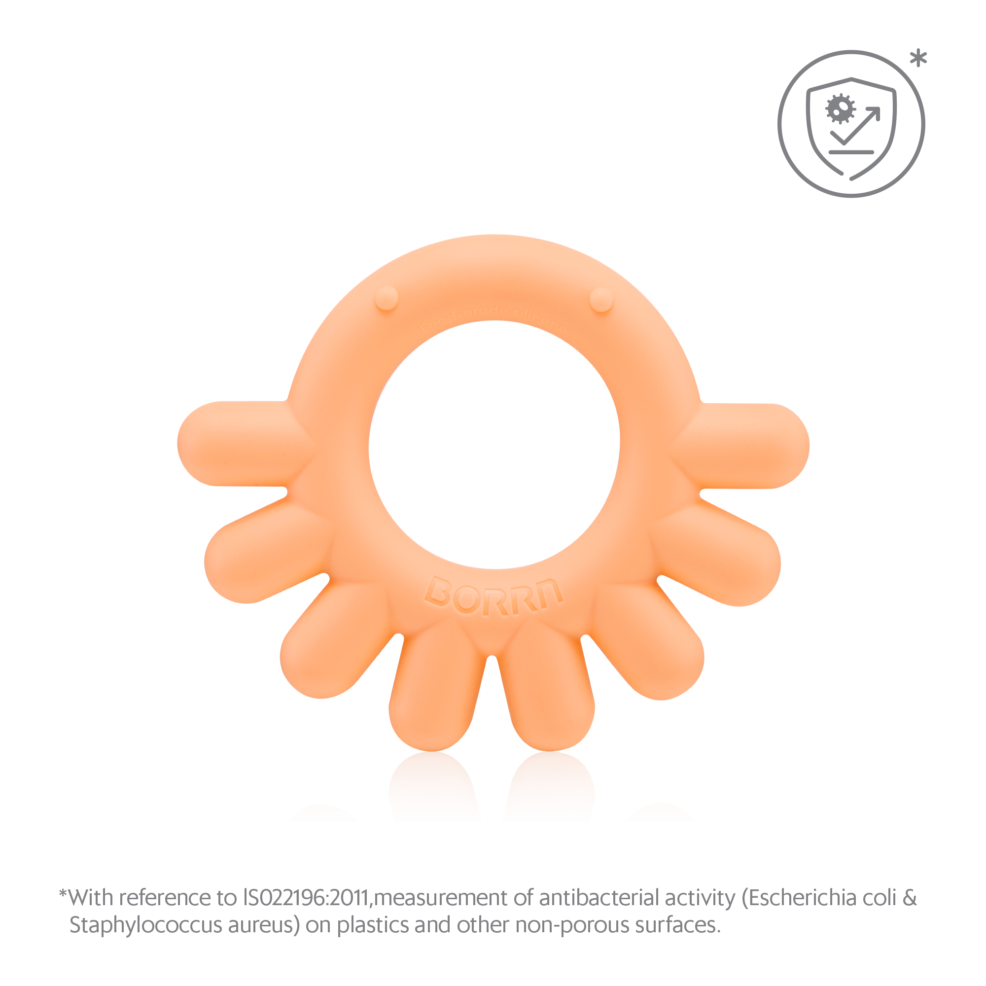 BORRN 動物牙膠-八爪魚